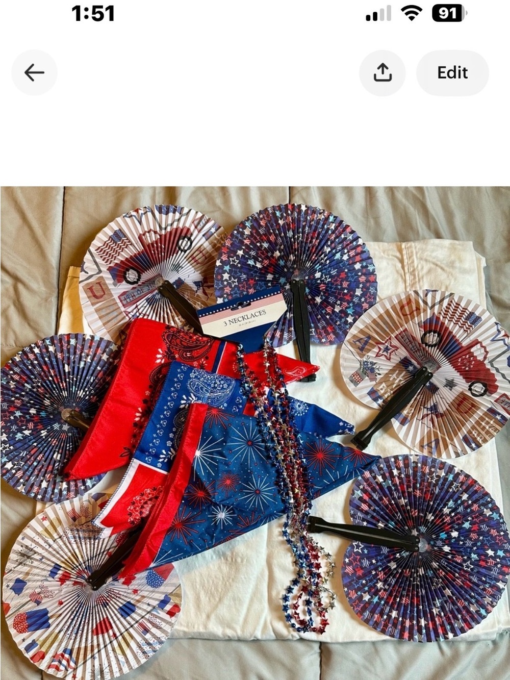 Unbranded Red & Blue Patriotic Party Fan and Bandana Set
